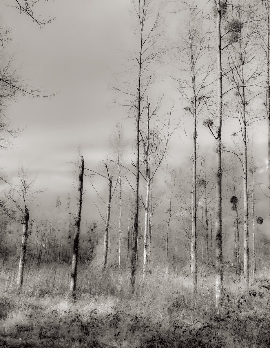 76-2304-Guilty As Hell.jpg